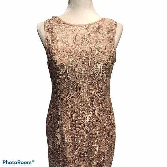 Adrianna Papell Lace Sheath Dress Size 8P - Picture 3 of 11